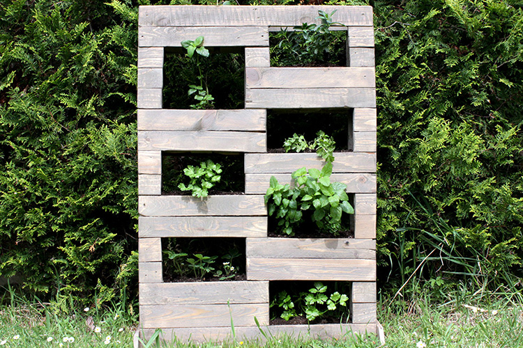 Herb garden made from pallets